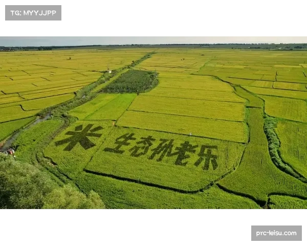 吉林末节稳守八分优势 关键节点节奏控制能力值得肯定